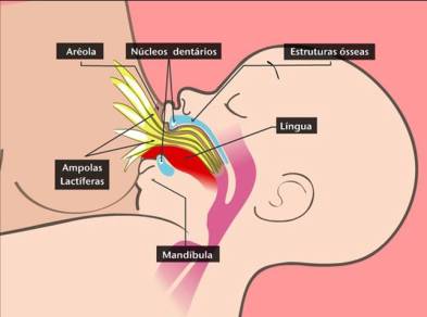 bebe-amamentando-1-2