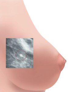 shutterstock_325339634